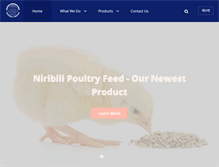 Tablet Screenshot of niribiligroup.com